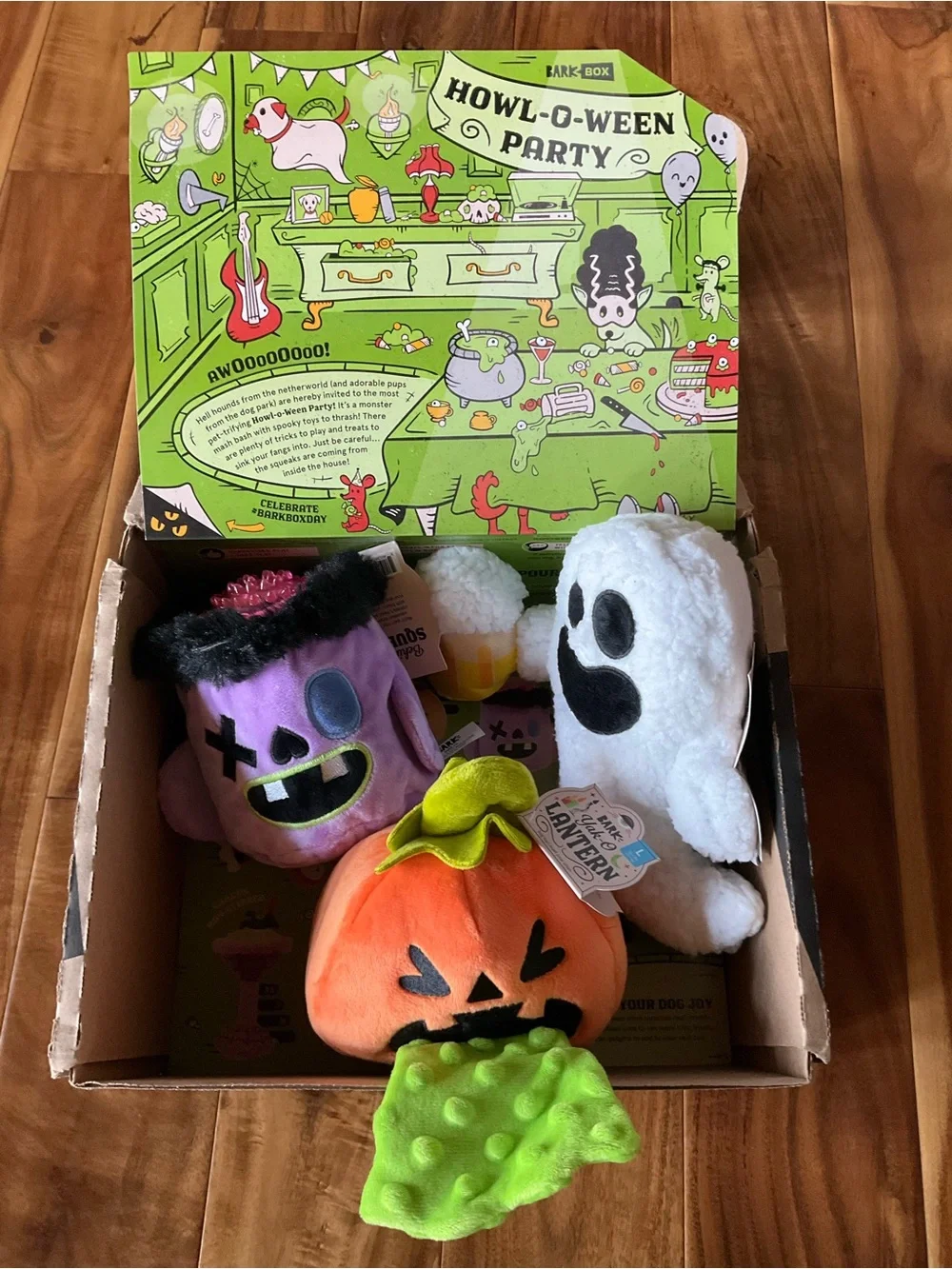 New Bark Box Howl-O-Ween Party Dog Toys Large Dog